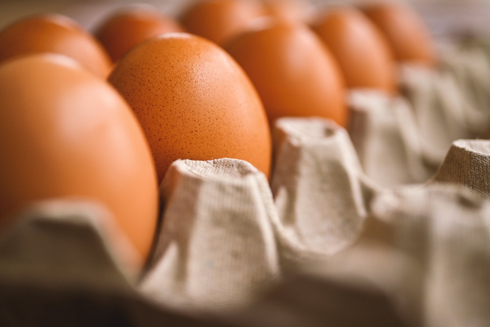 Fresh Eggs